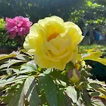 Casa Di Tota - Konukevi Vibo Valentia