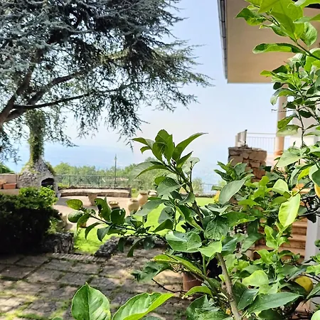 招待所 Casa Di Tota - 维博瓦伦蒂亚