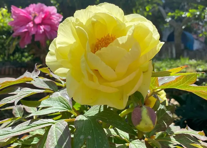 Casa Di Tota - 招待所 维博瓦伦蒂亚